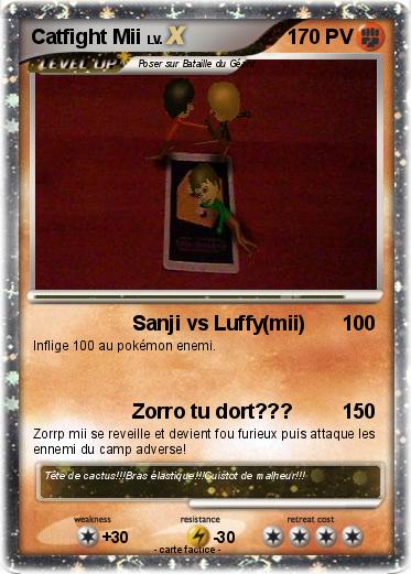 Pokemon Catfight Mii