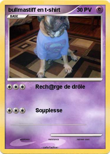Pokemon bullmastiff en t-shirt