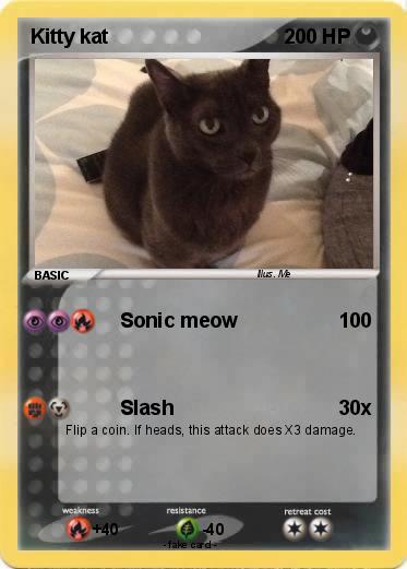 Pokemon Kitty kat
