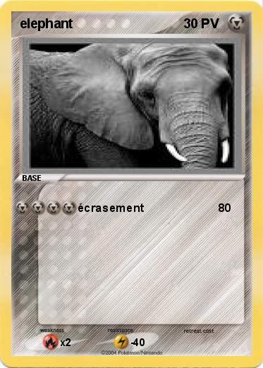 Pokemon elephant