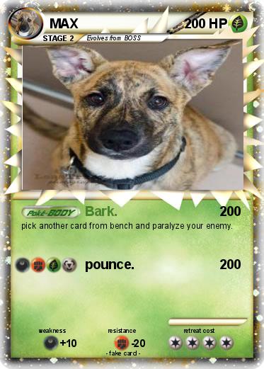 Pokemon MAX