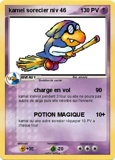 Pokemon kamel sorecier niv 46
