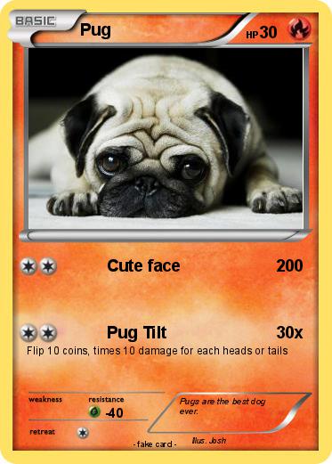 Pokemon Pug