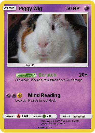 Pokemon Piggy Wig