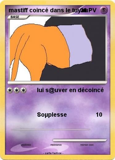 Pokemon mastiff coincé dans le tuyau