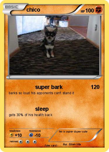 Pokemon chico