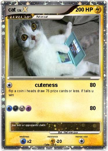 Pokemon cat