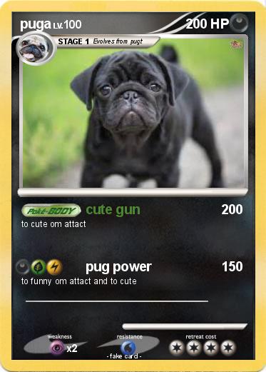 Pokemon puga