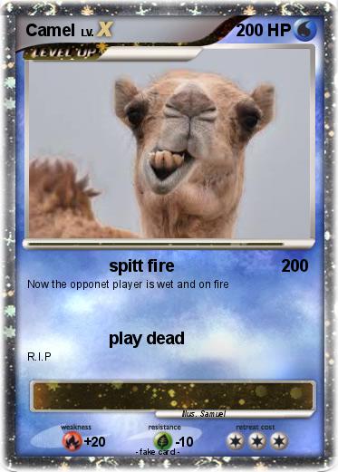 Pokemon Camel