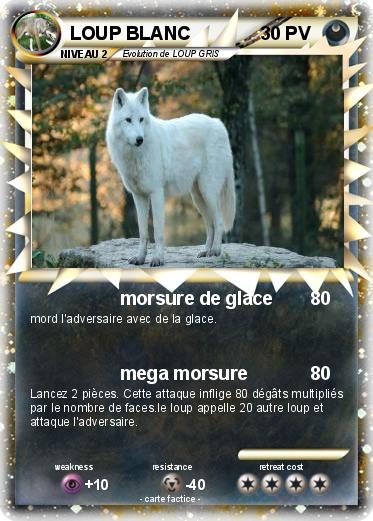 Pokemon LOUP BLANC