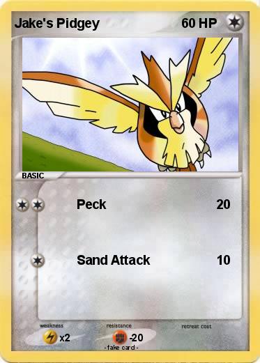 Pokemon Jake's Pidgey