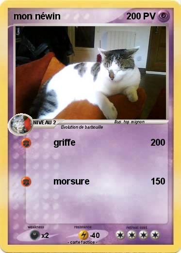 Pokemon mon néwin