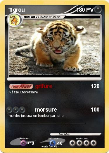 Pokemon Tigrou