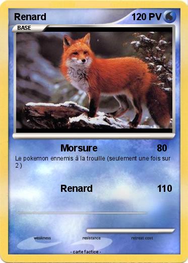 Pokemon Renard
