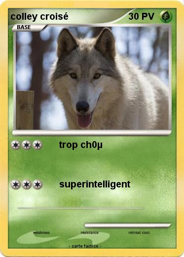 Pokemon colley croisé