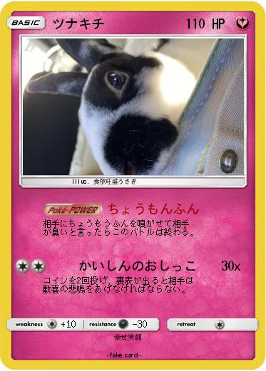 Pokemon ツナキチ