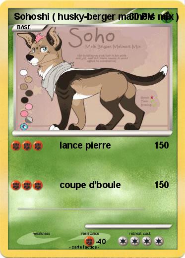 Pokemon Sohoshi ( husky-berger malinois mix )