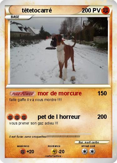 Pokemon têtetocarré