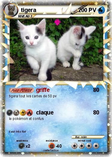 Pokemon tigera