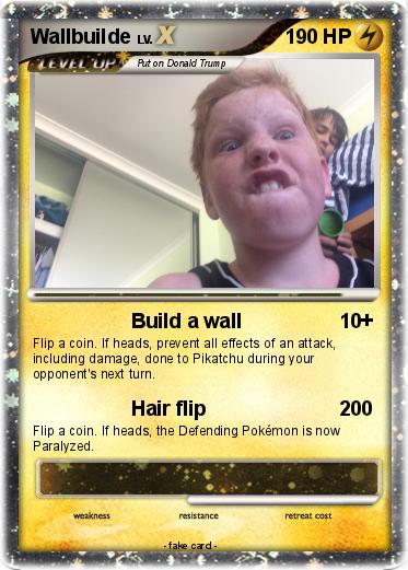 Pokemon Wallbuilde