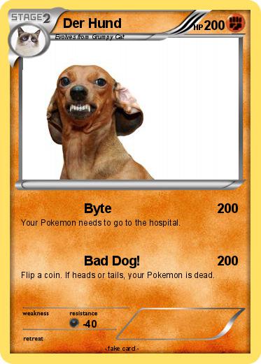 Pokemon Der Hund