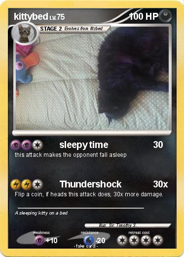 Pokemon kittybed