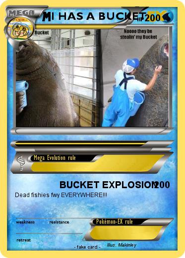 Pokemon I HAS A BUCKET