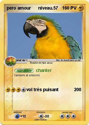 Pokemon pero amour      niveau.57
