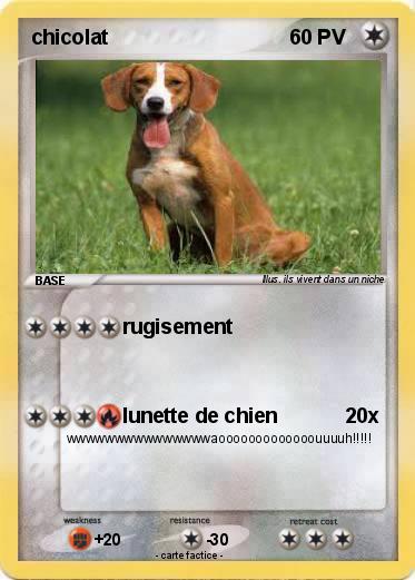Pokemon chicolat