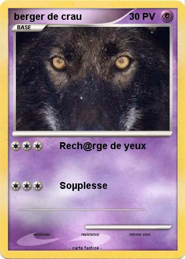 Pokemon berger de crau