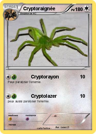 Pokemon Cryptoraignée