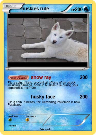 Pokemon huskies rule