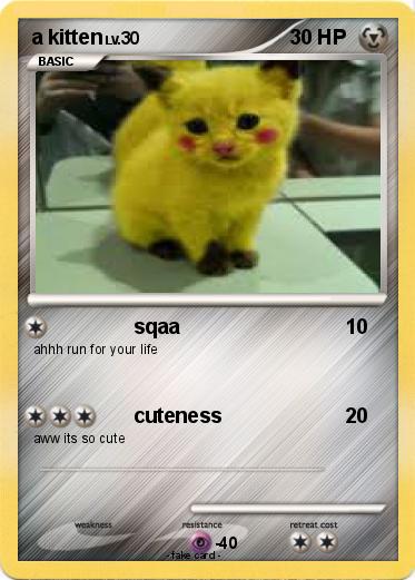 Pokemon a kitten