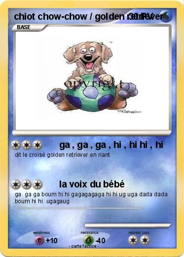 Pokemon chiot chow-chow / golden retriever