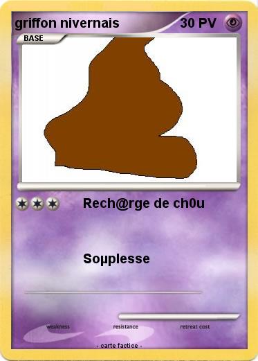 Pokemon griffon nivernais