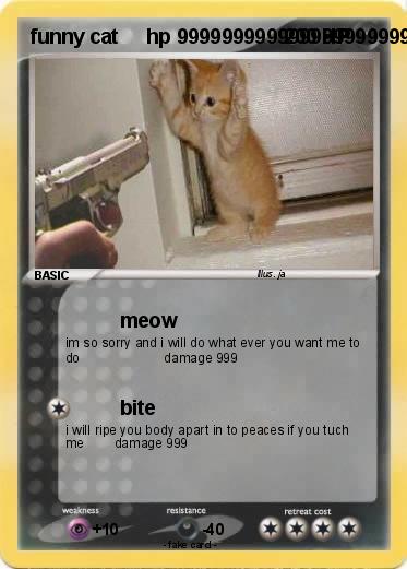 Pokemon funny cat     hp 999999999999999999999999