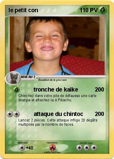 Pokemon le petit con