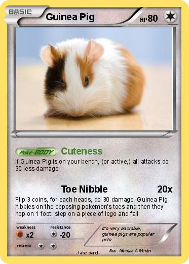 Pokemon Guinea Pig