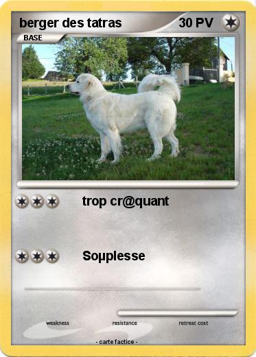 Pokemon berger des tatras