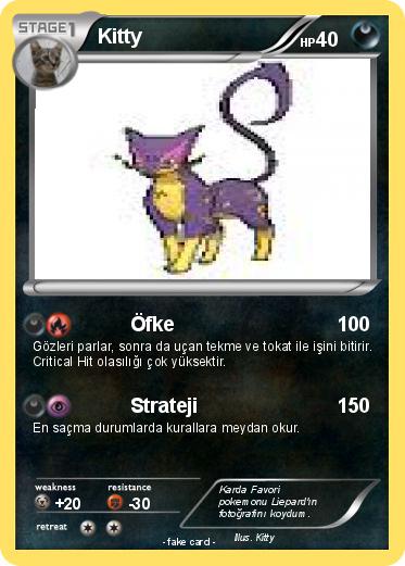 Pokemon Kitty