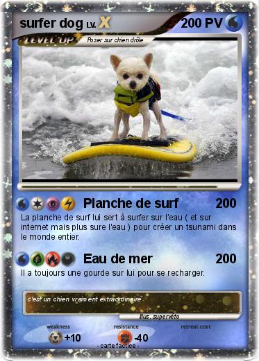 Pokemon surfer dog