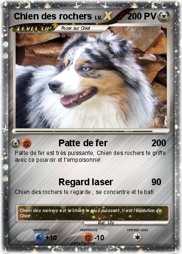 Pokemon Chien des rochers