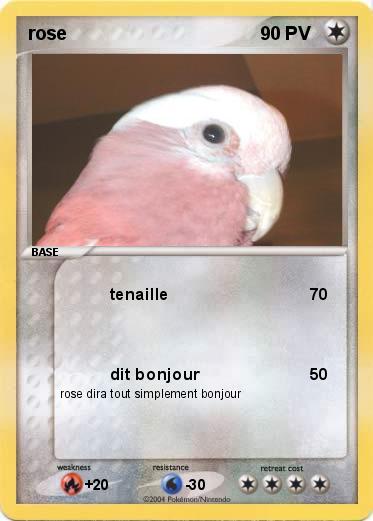 Pokemon rose