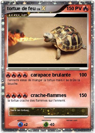 Pokemon tortue de feu