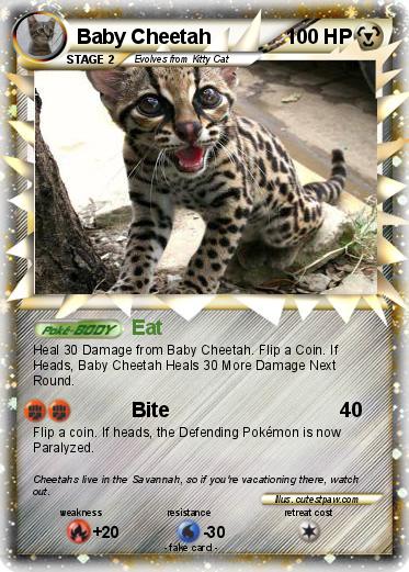 Pokemon Baby Cheetah