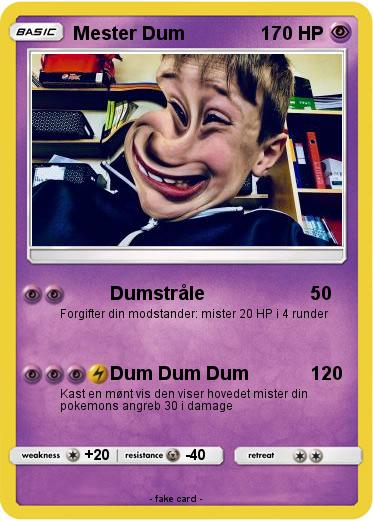 Pokemon Mester Dum
