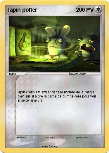 Pokemon lapin potter