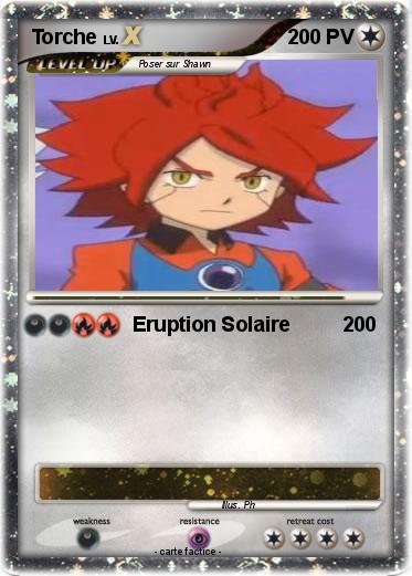 Pokemon Torche