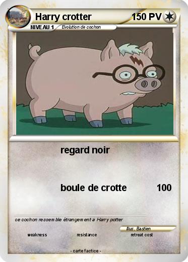 Pokemon Harry crotter