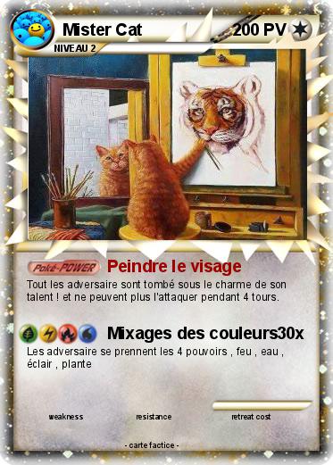 Pokemon Mister Cat